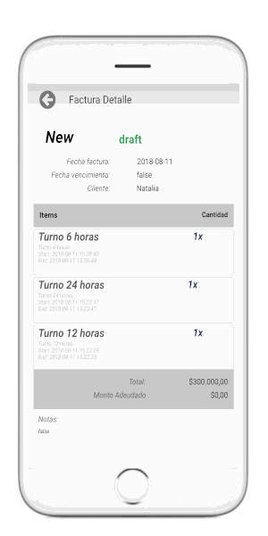 La app con el contros de turnos y gastos solicitados